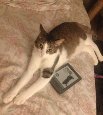 Not a flattering picture of her, but I needed a size comparison with my Kindle